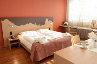SwissEver Hotel Zug - Zugo - 4