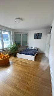 Perfect ESC apartment in Basel - Basilea - 0