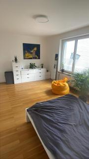 Perfect ESC apartment in Basel - Basilea - 7