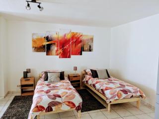 Helle und geräumige Ferien- und Monteurwohnung nur für Sie allein AUjvari Vermietungen - Spiegelberg - 1