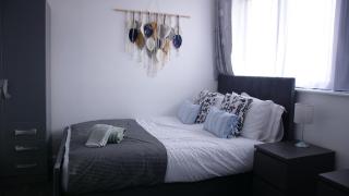 Stylish 4 Bd Ft LDN Parking - Londra - 1