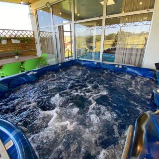 Villa Spa Bura - Banja Luka - 6