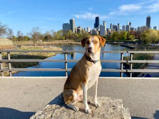 3-Story Townhome Free Parking Private Patio Washer-Dryer - 9