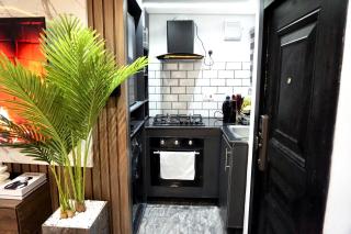 Solace Suite 1 Bedroom Studio by LSP Homes Lekki Phase 1 - Lekki - 4