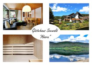 Gästehaus Seewald- Ferienwohnung 1 "Ahorn", Schluchsee, Blasiwald - Schluchsee - 0