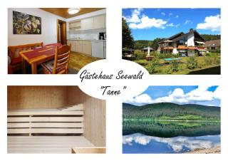 Gästehaus Seewald- Ferienwohnung 3 "Tanne", Schluchsee, Blasiwald - Schluchsee - 0