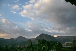 habitación campestre para pareja JAZMIN - Jardin - 0