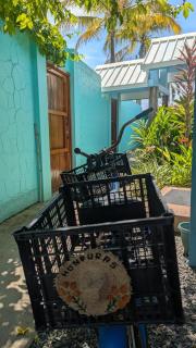 Pachamama Bay Club - Bocas del Toro - 2