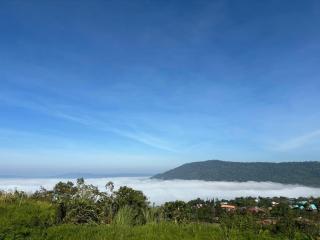 BlueHouseFreshBloom View เขาค้อ - Khao Kho - 3