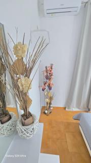 Kassiopi Apartmets4you III - Kassiopi - 6