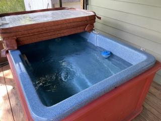 Steps away from PF parkway, pet friendly, hot tub! - Pigeon Forge - 6