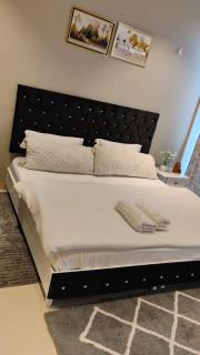 the luxury apartment in gurgaon - Gurgaon - 9