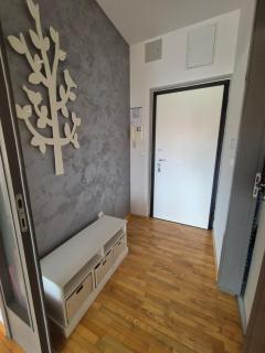 Moni - Osijek - 6