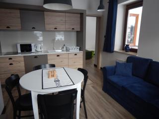 ApartamentyPodZakopanem.PL - Murzasichle - 7