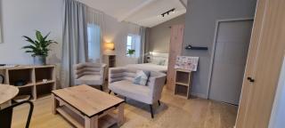Bel appartement sous les toits de Toulouse-Central-Climatisé- - Toulouse - 2