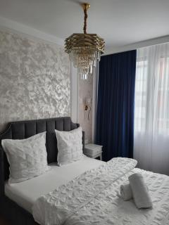 Sika Trezor Apartment Arad - Arad - 4