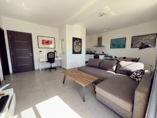 Modern penthouse - 9