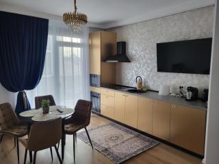 Sika Trezor Apartment Arad - Arad - 6
