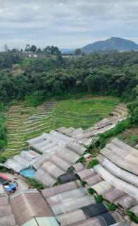 CRYSTAL D CAMERON HOMESTAY - Cameron Highlands - 1