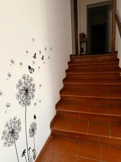 Casa Vacanze La Farfalla di Vittori Fabiola - Sorano - 8