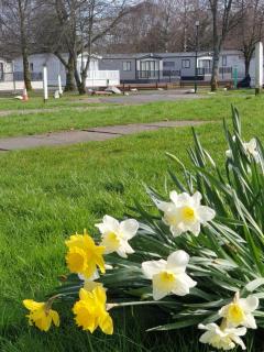 Lomond Woods Holiday Park - Balloch - 0
