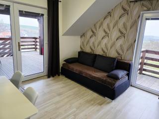 Apartmány pod Pálavou - Starovičky - 5