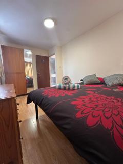 Spacious Double Room Near ExCeL London - Londra - 3