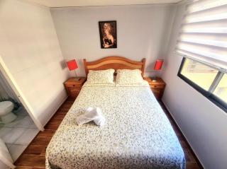 Apartamento Santiago Centro - La Moneda - Santiago - 9