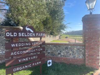 Old Selden Farm B&B - Worthing - 9
