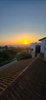 Olive Garden's Paradise Villa - Skarinou - 9