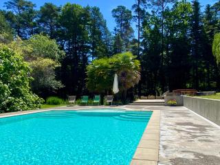 Maison de maître - Bed & Breakfast dans une forêt royale avec piscine et spa - 3