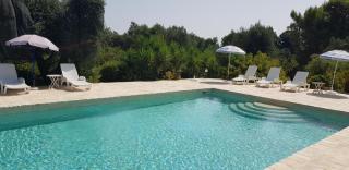 Caserurali, nature and pool - Ceglie Messapica - 8