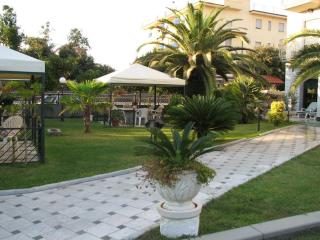 Hotel Harmony-Smile - Lido di Camaiore - 9