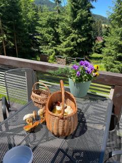 Apartmány pod Rališkou - Horní Bečva - 3