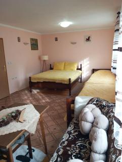 Family owned self sufficient ECO farm TARA - Pljevlja - 7