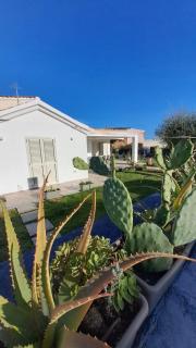 Villa Deis Vacation Home - Olbia - 1