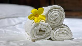 Thỏ House - - 7