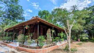 Thỏ House - - 3