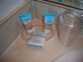 Lovely Vacation Home with 3 bedrooms! - 3