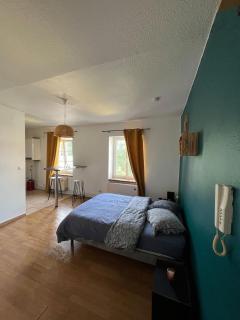 TORINO - Appartement cozy - Sarrebourg - 5