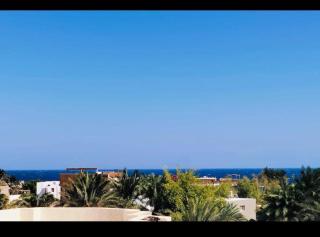 Blue Lotus - Dahab - 9
