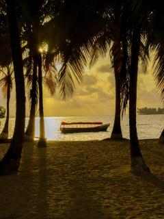 The Tribe San Blas - Mamartupo - 1