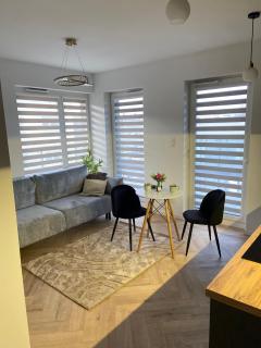 Apartament Plaza Park Zagnańska - 3
