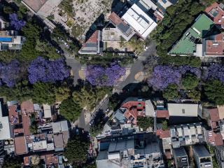 Indigo Veracruz Roma Nte Apt 1B I 1B - Città del Messico - 8