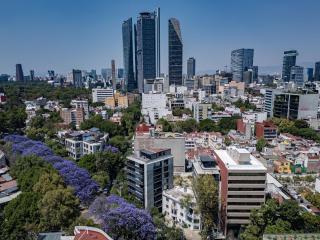 Indigo Veracruz Roma Nte Apt 1B I 1B - Città del Messico - 5