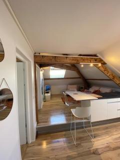 Le Cocon Charmant Appartement, calme, coeur de ville, 2 chambres 2 salles de bains - Aix-les-Bains - 1