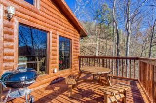 Bearcove - Sevierville - 8