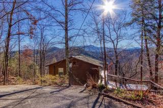Bearcove - Sevierville - 7