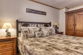Bearcove - Sevierville - 5