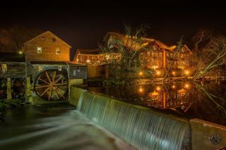 Bearcove - Sevierville - 3